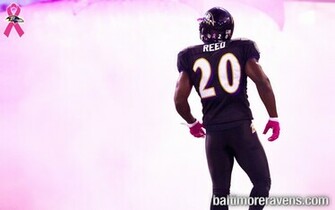 Ed Reed Wallpaper Jets Jpg