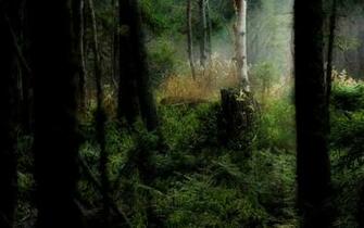 Wallpaper Wide Nature Widescreen HD X Set