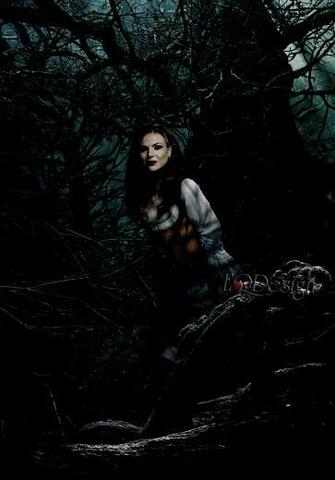 Best Regina Mills Wallpaper Robin