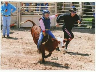 Lane Frost Arena Graphics Code Comments Pictures