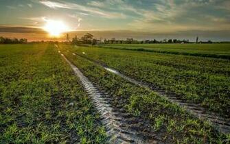 Country Road Wallpaper