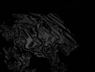 Black Chrome Wallpaper Liger
