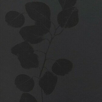 Try To Dark Grey Silver Black Transparent Background Vector