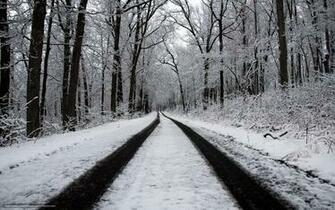 Winter Wallpaper Forest Road Gdefon Original Zima