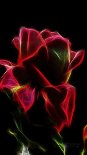 Flowers Wallpaper X Desktop