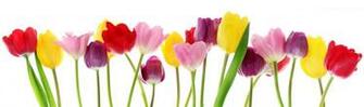 Mother S Day 11th March
