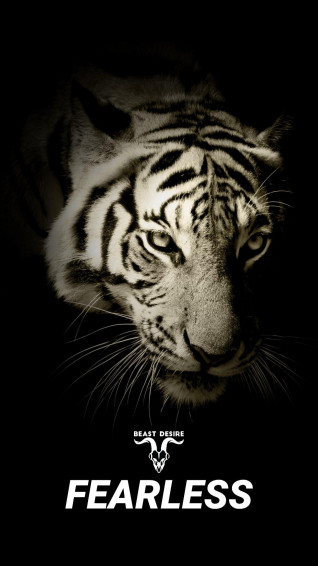Beast Desire Wallpaper Animal Tiger Animals