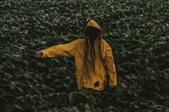 Hoodie Leaves Raincoat Green Wallpaper For