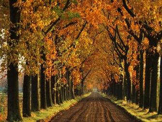 Fall Desktop Wallpaper First HD