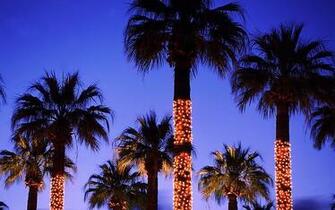 Christmas Holiday Lights