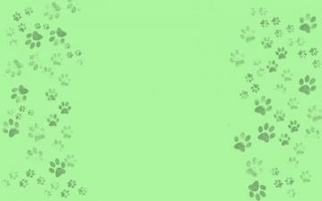 Pet Background And Wallpaper On