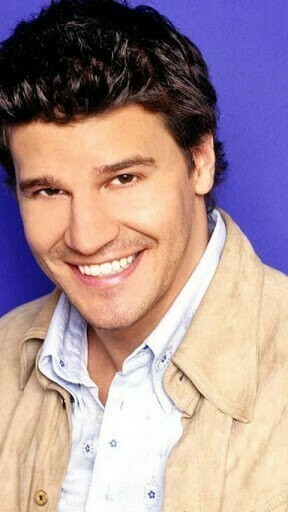 David Boreanaz Live Wallpaper Screenshot