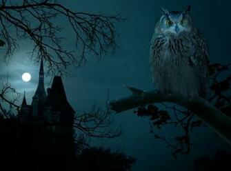 Wallpaper Halloween Night Owl Hounted House Dark Moon