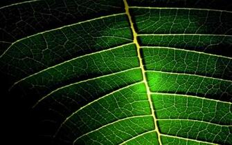 Home Bulk Wallpaper Cool Desktop