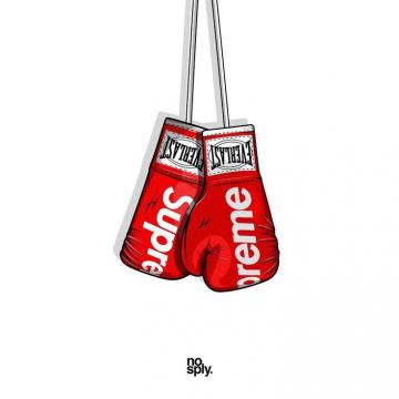 Supreme X Everlast Boxing Gloves Fall Winter Nosply