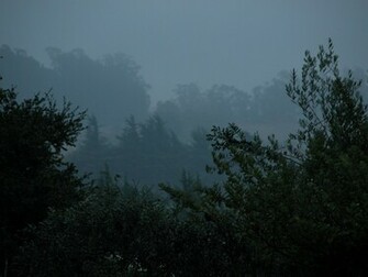 Rainy Day