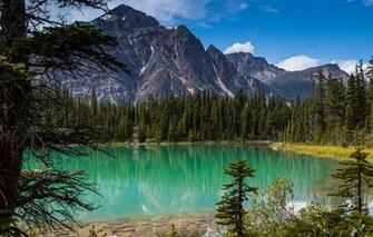 Ll Lake Jasper National Park Alberta Canada Rocky