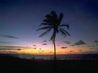 Tropical Sunset
