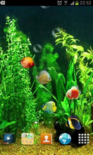 Description HD 3d Fish Tank Live Wallpaper Colorful Appear On The