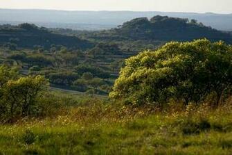 Texas Hill Country Of Guide And Tattoo Design