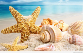 Wallpaper Summer Cute Best HD