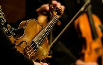 Violin Musical Instrument Strings Wood People Orchestra Wallpaper