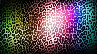 Colorful Animal Print