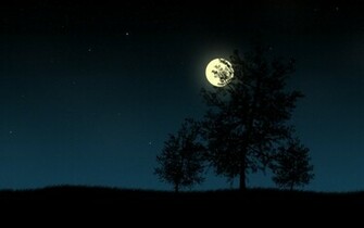 HD Wallpaper Widescreen 1080p