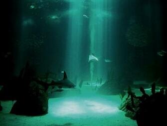 Open Ocean Underwater Wallpaper Ing Gallery