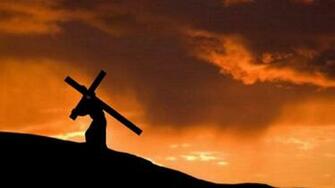 Cross Background Net