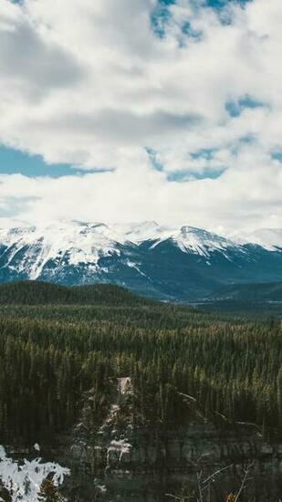 Wallpaper Mountains Trees Distance