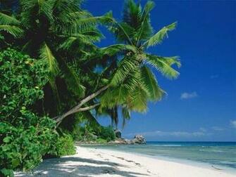 Florida Beach Wallpaper