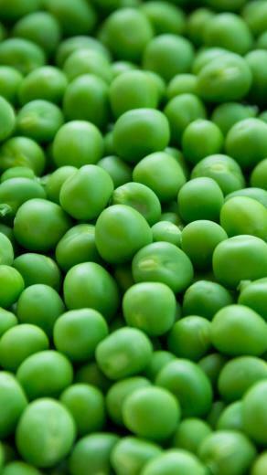 Fresh Peas Wallpaper iPhone Android Desktop Background