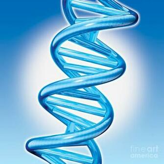 Dna Double Helix Digital Art