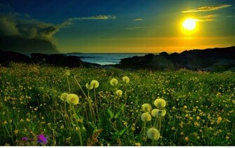 Awesome Spring Nature Sunset Background Wallpaper Pintast