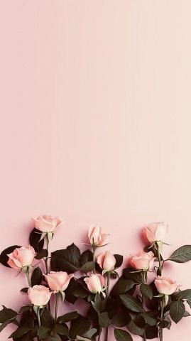 Elegant Flower Wallpaper You Need To Save Soopush
