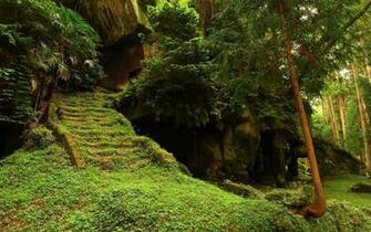 Beautiful Wallpaper And Image Waterfall Jungle