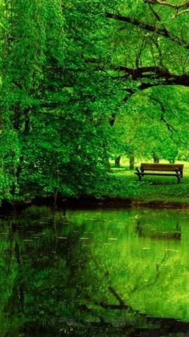 HD Nature Green Wallpaper Basty iPhone