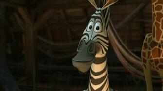 Madagascar Marty HD Wallpaper Background Of Your