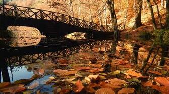 Bolu Yedigoller National Park Turkey Wallpaper