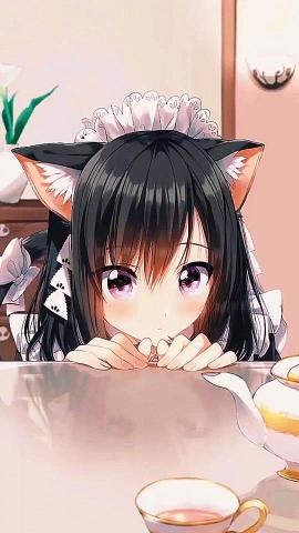 Anime Cat Girl Live Wallpaper For Your