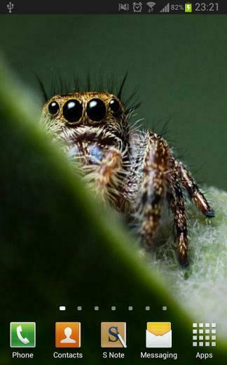 Wallpaper And Live Application With A Collection Of High