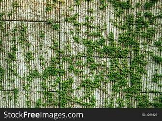Block Wall Vines Background Stock Image Photos