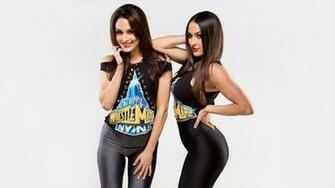 Showing Pictures For Nikki Bella Wallpaper