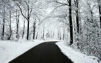 Winter Wallpaper