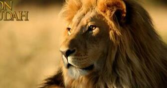 Lion Of Judah Wallpaper
