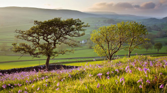 Windows Wallpaper Just Released By Microsoft