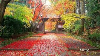 November Bing Wallpaper Px On