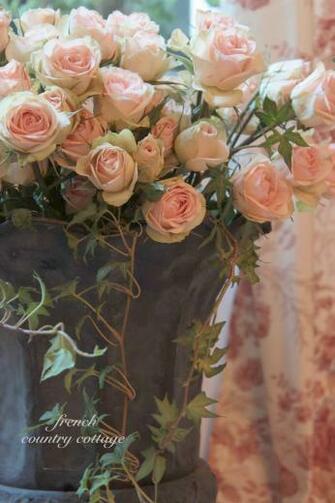 French Country Cottage Toile