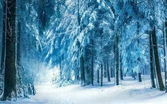 Snow Forest HD Live Wallpaper Android Apps On Google Play